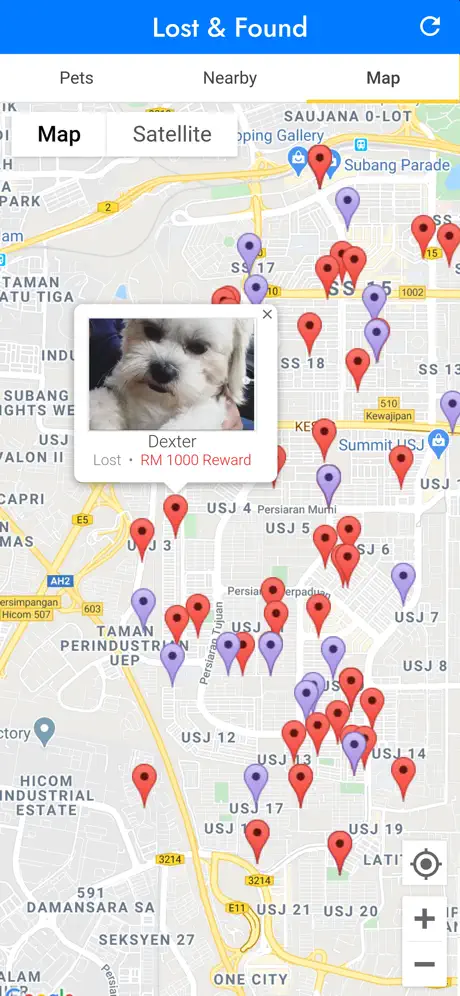 PetFinder.my