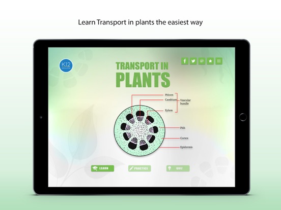 Screenshot #4 pour Transport in Plants Biology