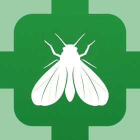 Bug Identifier & Insect Finder