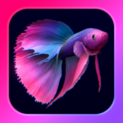 ベタリウム - 癒しの熱帯魚育成