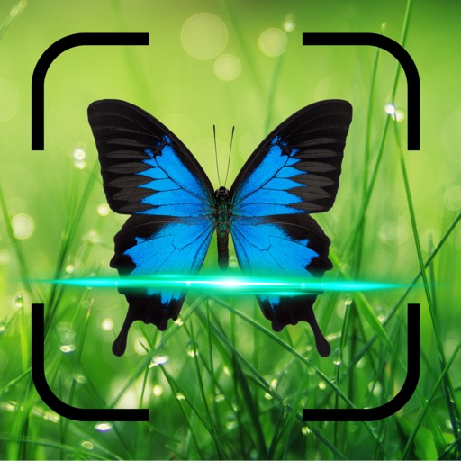 Bug Identifier Insect Scan Fox