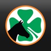 Due Process Stables icon