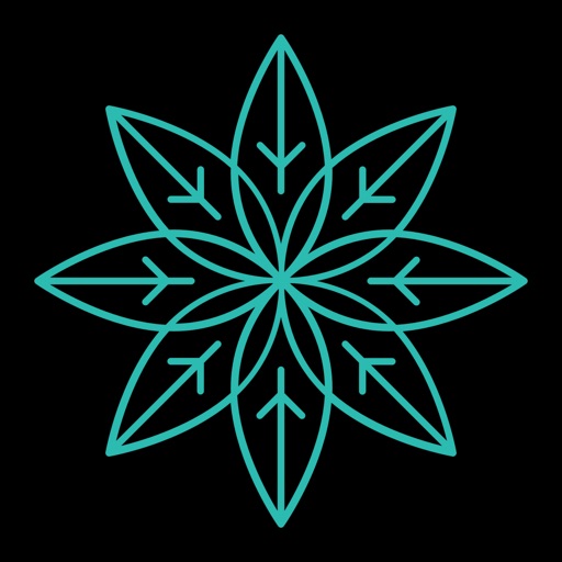 Port Douglas Transfers