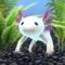 Raise a cute axolotl and build your own aquarium