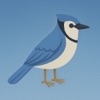 Biome Tap icon