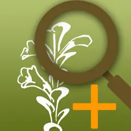 CRFwildflowers app icon