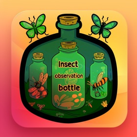 Insect observation bottle