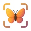 Bug Identifier - Buzzby icon