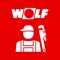 The WOLF Service App is the ideal partner for the heating technician