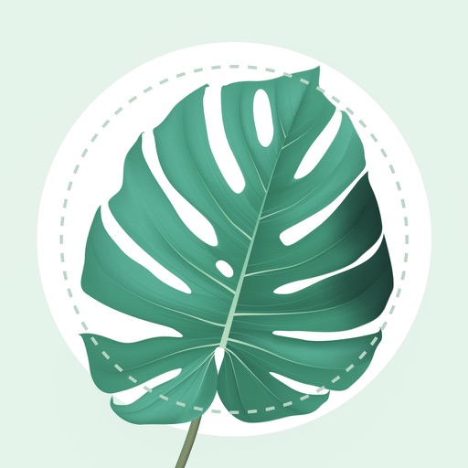 Plant Identifier - PlantMe