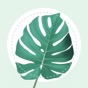 Plant Identifier - PlantMe app download