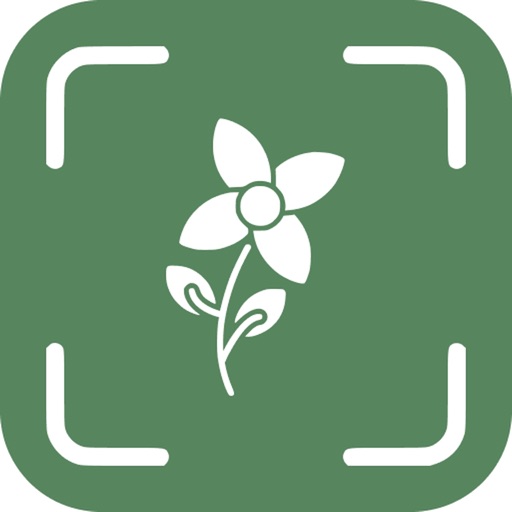 Flower Identifier - FI
