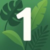 NumeroThink icon