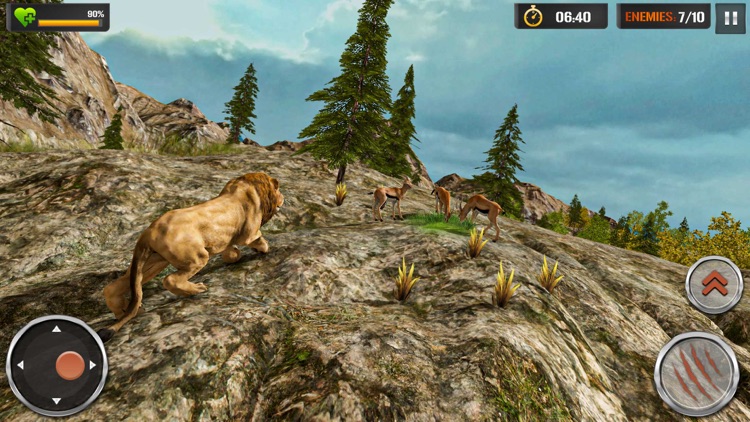 Lion Simulator Wildlife Animal