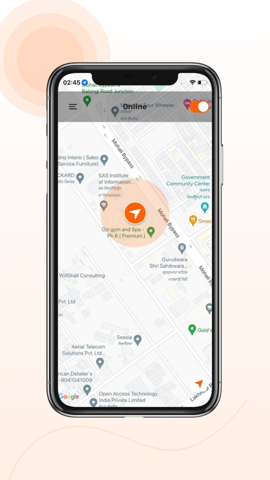 ViaGo: Drive, Pickup & Deliver Screenshot