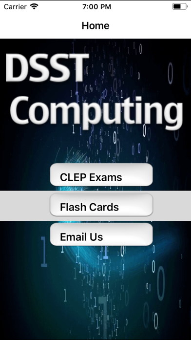 DSST Intro Computing Prep screenshot
