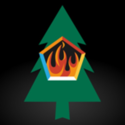 Combustible Dust Assessment