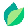 Planter: Houseplant care icon