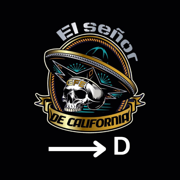 SR CALIFORNIA Driver