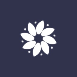 Equanimity: CBT & Mood Journal