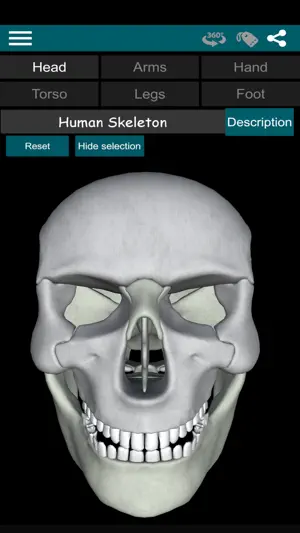 Bones 3D (Anatomy) screenshot 1