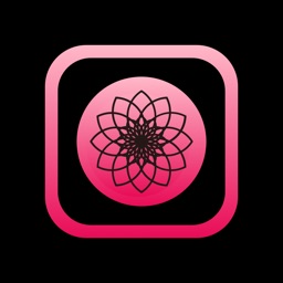 小拍