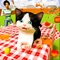 Get ready to play your favourite cat game full of excitement, epic and adventure