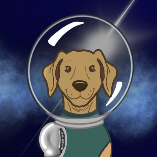 Runiverse - Save the Universe