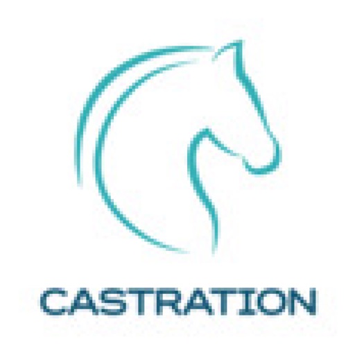 Equine castration research