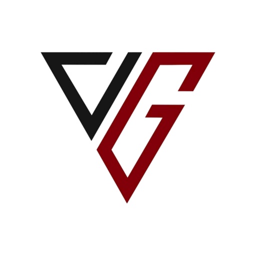 VISHWA GURU ENTERPRISES