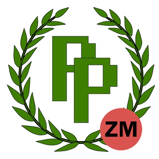 Past Papers ZM