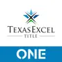 TXExcelAgent ONE