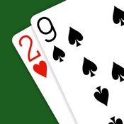 29 Card Game - Expert AI