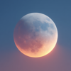 Neo Moonlight logo