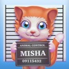 Cat Misha icon