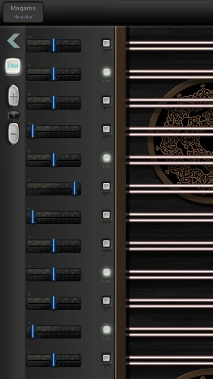 Captura 4 de 4 de Oud Pro