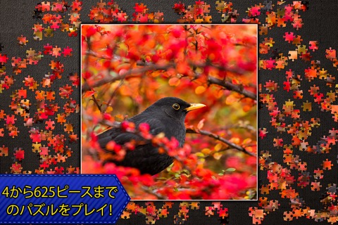 Jigsaw Puzzles Epicのおすすめ画像5