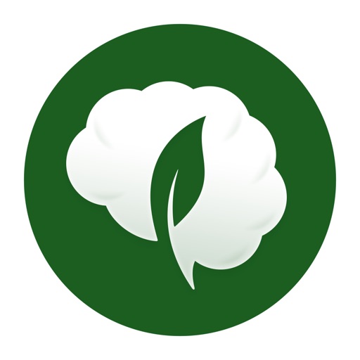 Thought Tamer - Overthink Less