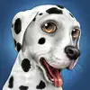 Dog World Premium - My Puppy contact information