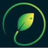 MuseRing icon