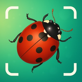 Bug Identifier - BugLens