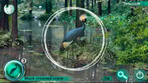 Hidden Animals: Seek and Find screenshot 4