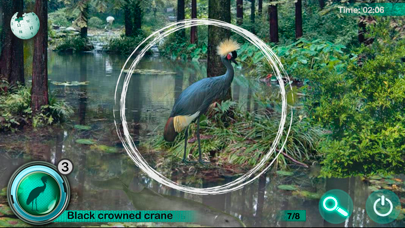 Hidden Animals: Seek and Find iPhone screenshot 4 - Games app