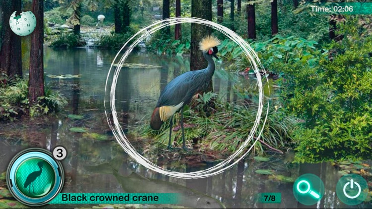 Hidden Animals: Seek and Find screenshot-3