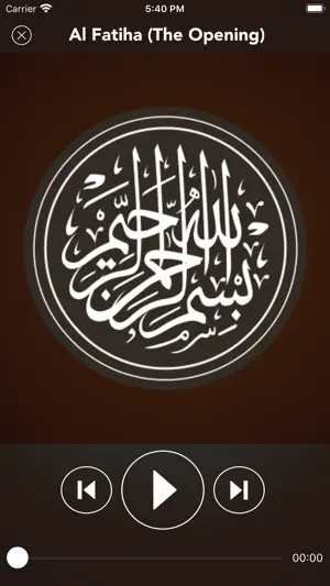 Listen Holy Quran screenshot 3