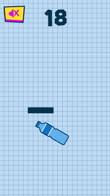 Flip Water Bottle Mania