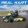 Real Kart PRO