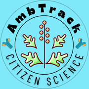 AmbTrack