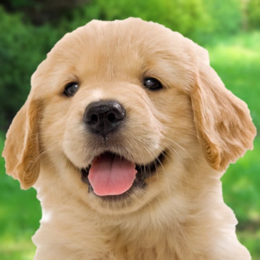 わんこと私 - 子犬のペット育成ゲーム