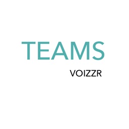 Voizzr Teams